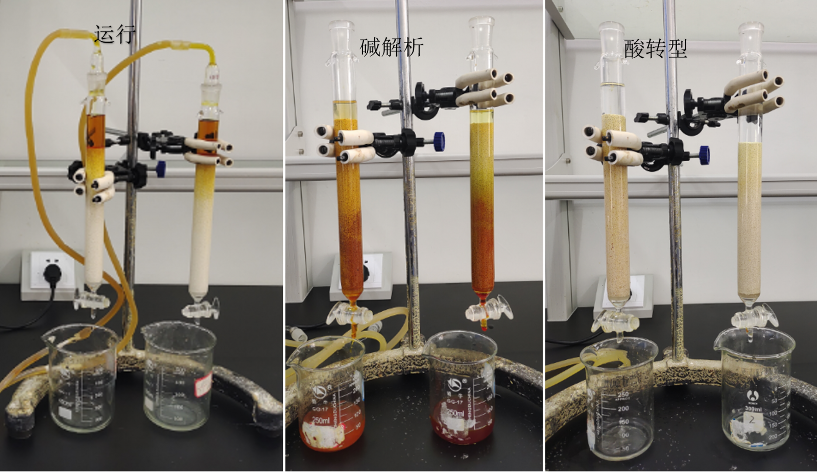 新宝GG「创造奇迹的游戏平台」