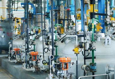 ��֬��������